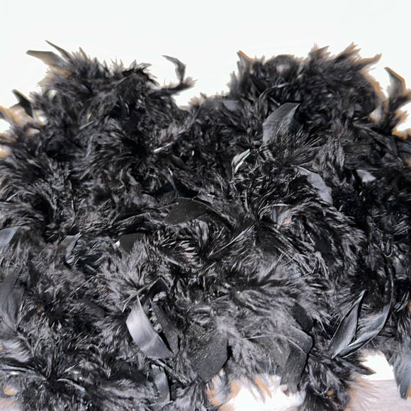 Bra and Feather Boa Costume Accessories - Picture 6 of 6